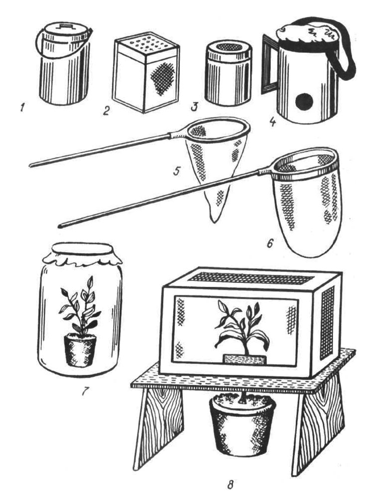 Оборудование для зоологической экскурсии: 1 - ведерко; 2, 3 - коробки; 4 - садок; 5 - сачок; 6 - водяной сачок; 7, 8 - инсектарии