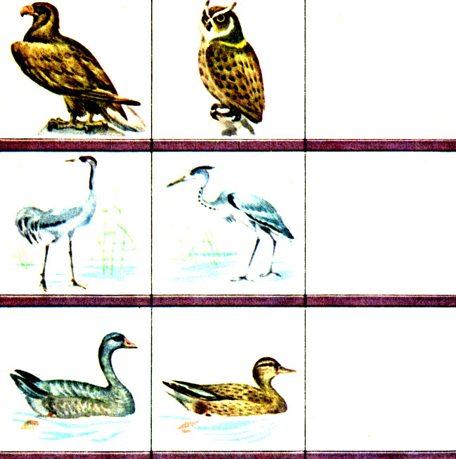 Рис. 8. Таблица, разделенная на 9 клеток. В первом столбике нарисованы орел, журавль и гусь