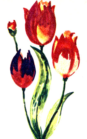 Рис. 47. Тюльпаны, нарисованные художником, как он их увидел, со многими цветовыми оттенками